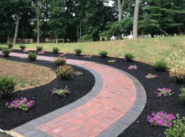 blackmulch
