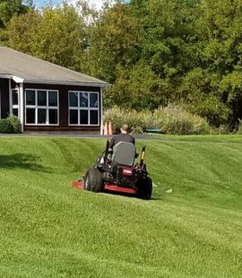lawn lawn