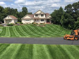 lawn1