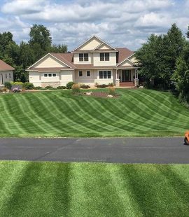 lawn1 lawn1