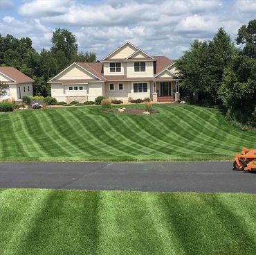 lawn1 lawn1