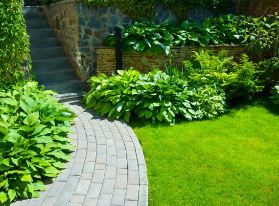 Garden stone path with grass growing up between the stones