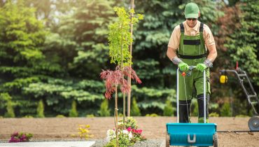 Backyard Garden Grass Seeding