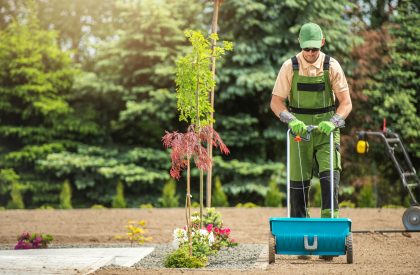 Backyard Garden Grass Seeding Backyard Garden Grass Seeding