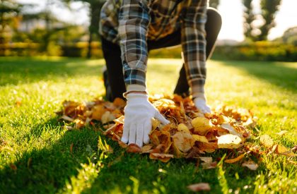 cleaning concept. Seasonal gardening. cleaning concept. Seasonal gardening.