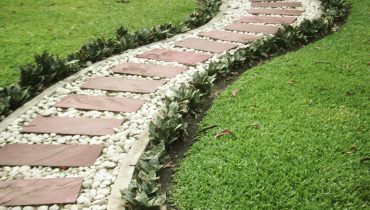 Stone walkway in garden