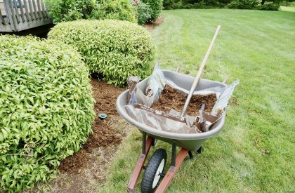 Wheelbarrow full of mulch in a yard. Wheelbarrow full of mulch in a yard.
