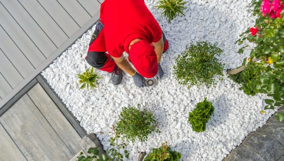 Professional Landscaper Installing Modern LED Lighting Inside Newly Designed Backyard Garden