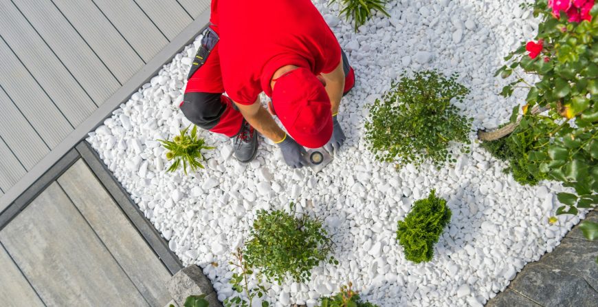 Professional Landscaper Installing Modern LED Lighting Inside Newly Designed Backyard Garden