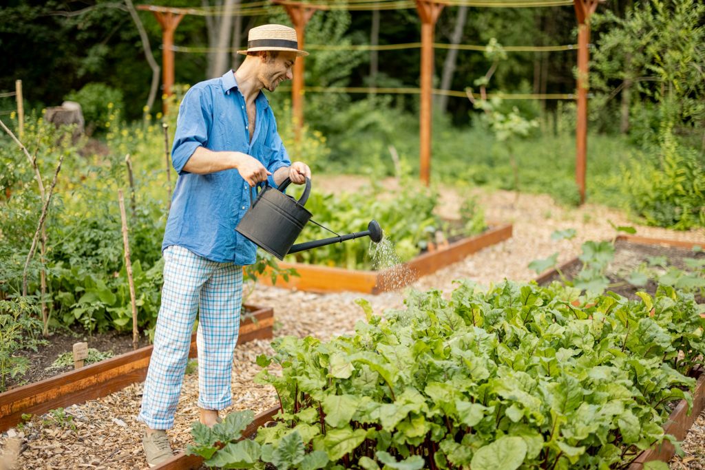 Man watering vegetables at home garden - Ben's Property Maintenance Man watering vegetables at home garden