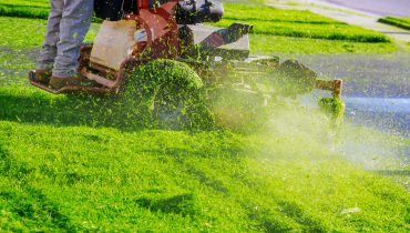 Home garden grass gardener cutting lawn grass with lawn mower