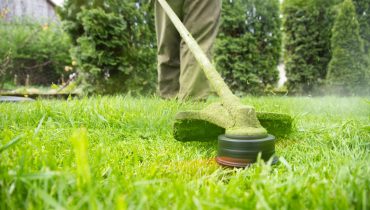 Lawn mover on green grass. Machine for cutting lawns.