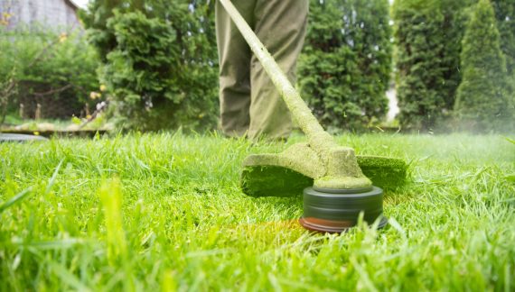 Lawn mover on green grass. Machine for cutting lawns.